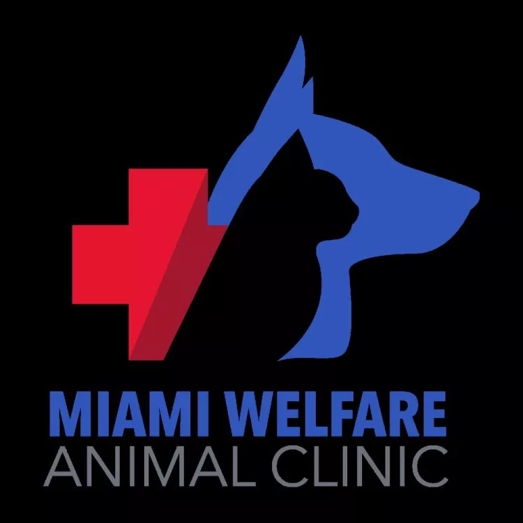 Miami Welfare Animal Clinic, Florida, Miami